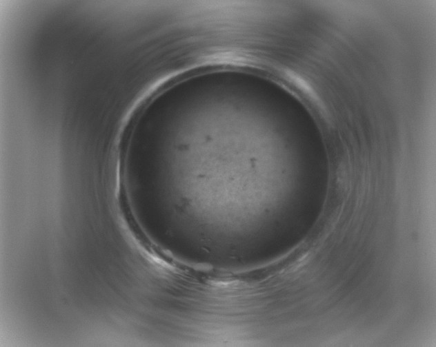 X0000068851323200605051202