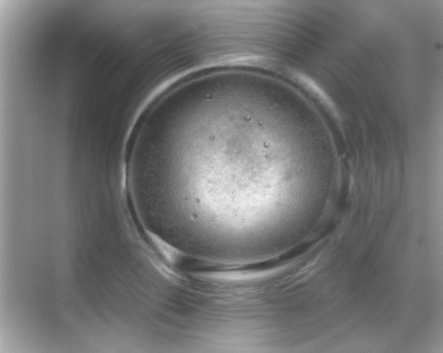 X0000068851324200605051202