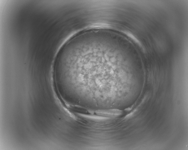 X0000068851325200605051202