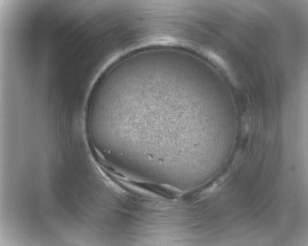 X0000068851326200605051202