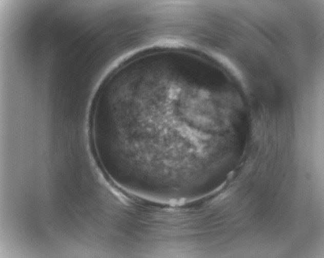 X0000068851327200605051202