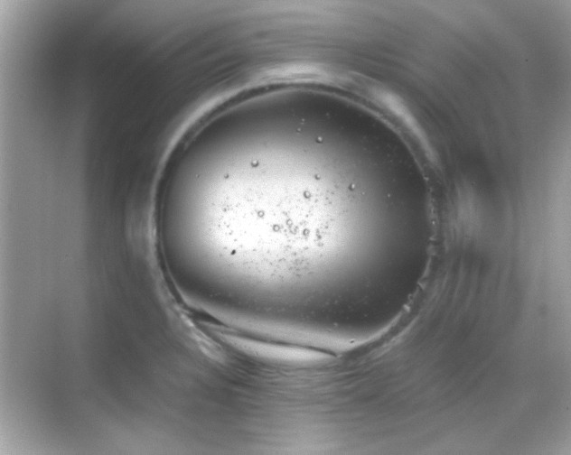 X0000068851328200605051202