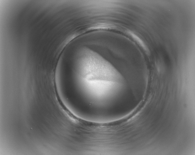 X0000068851329200605051202