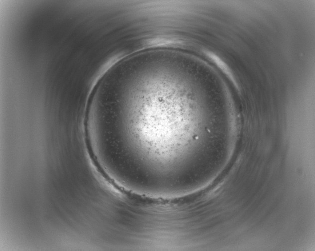 X0000068851330200605051202