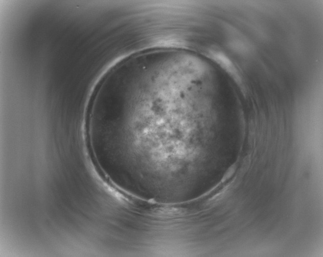 X0000068851331200605051202