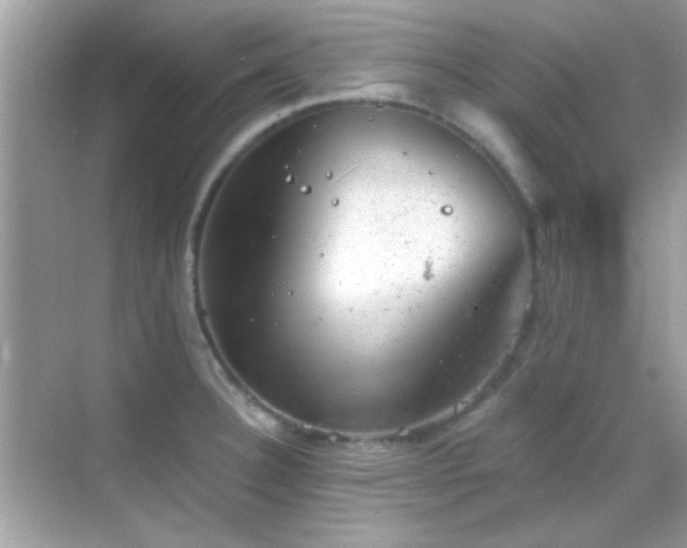 X0000068851332200605051202