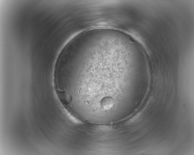 X0000068851333200605051202