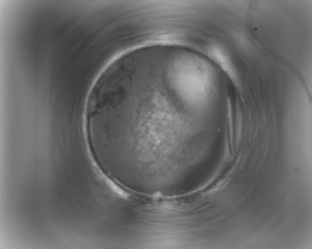 X0000068851334200605051203