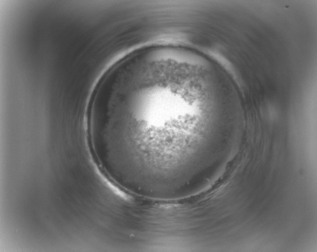 X0000068851335200605051203