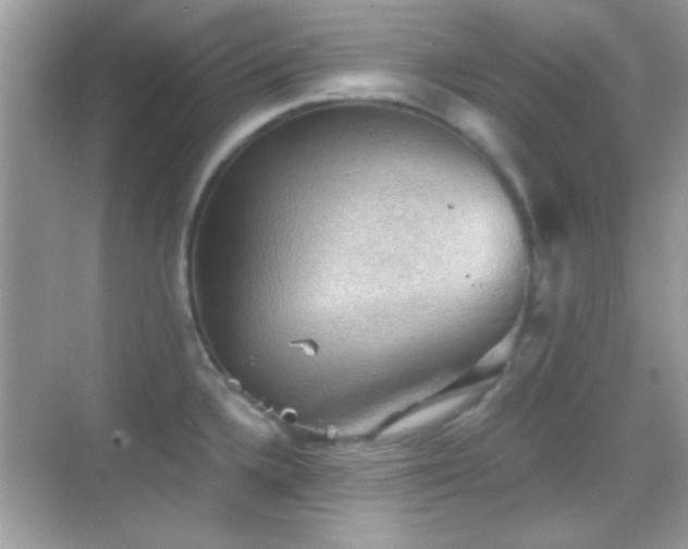 X0000068851336200605051203