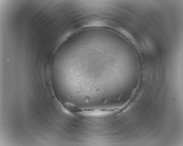 X0000068851337200605051203