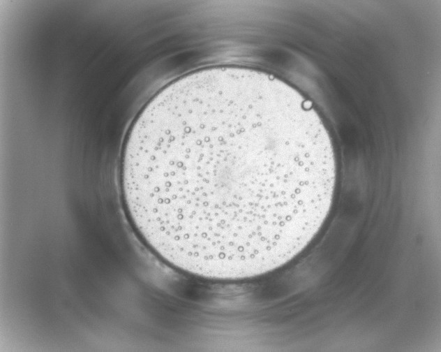 X0000068851338200605051203