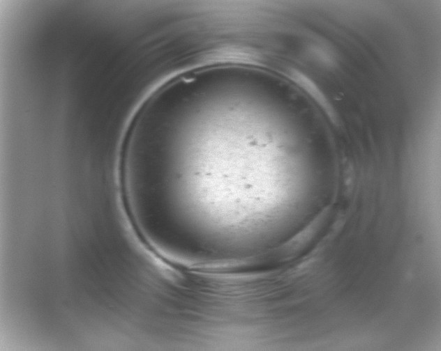 X0000068851339200605051203