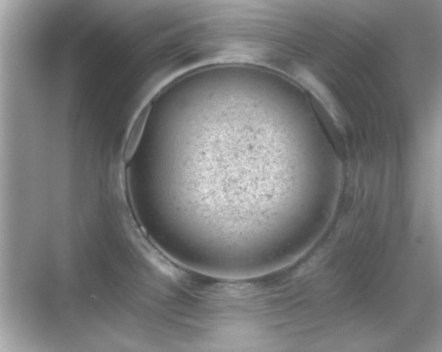 X0000068851340200605051203