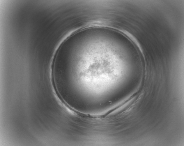 X0000068851341200605051203