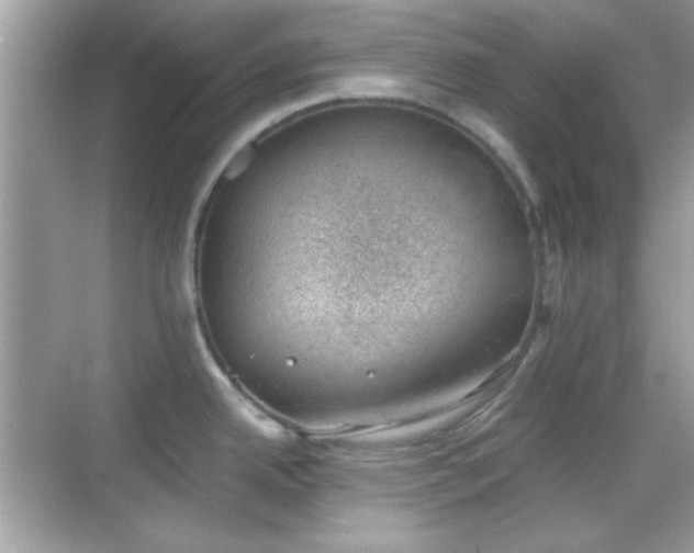 X0000068851342200605051203