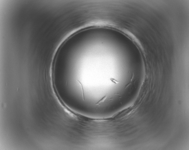 X0000068851343200605051203