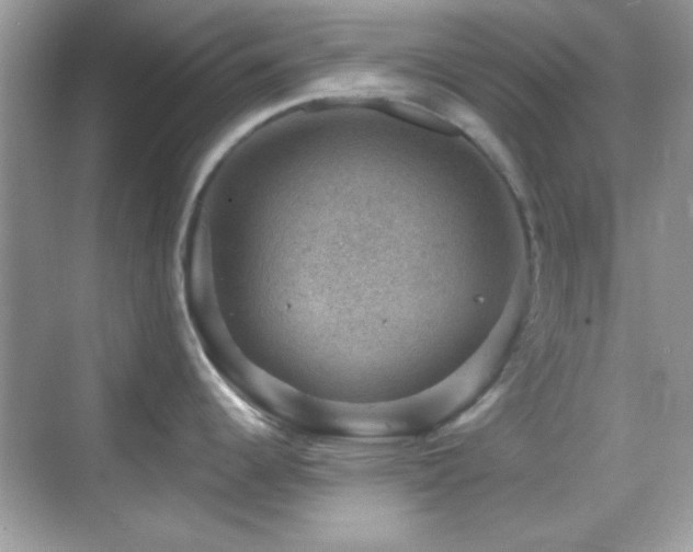 X0000068851344200605051203