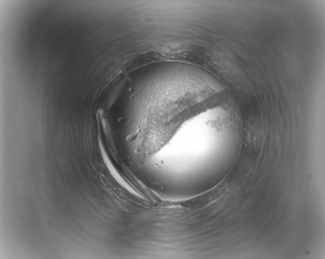 X0000068851346200605051202