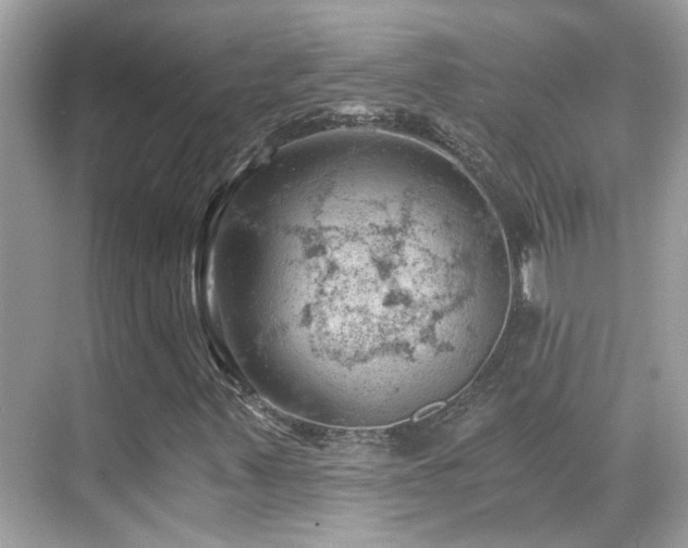 X0000068851347200605051202