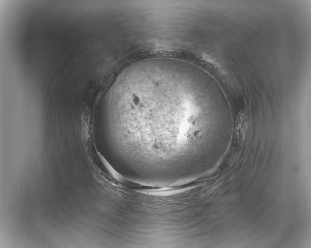 X0000068851348200605051202