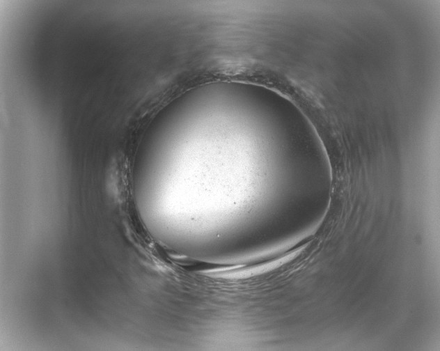 X0000068851349200605051202