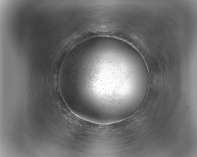 X0000068851350200605051202