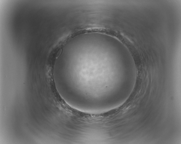 X0000068851351200605051202