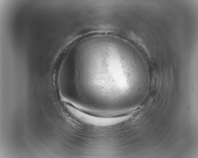 X0000068851352200605051202