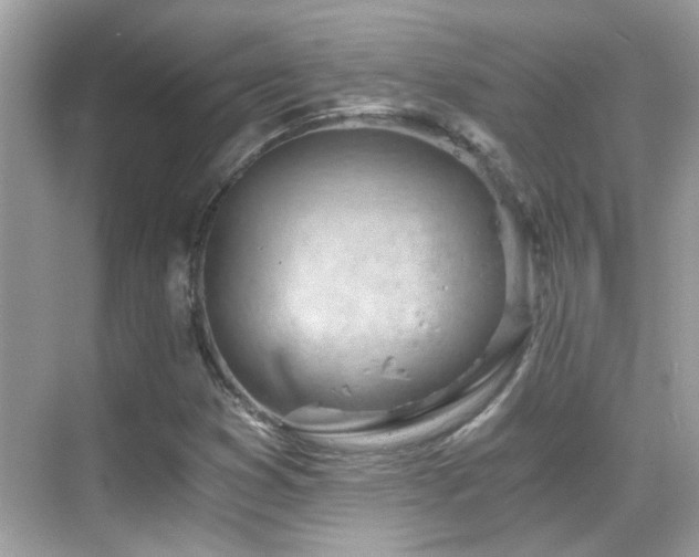 X0000068851353200605051202