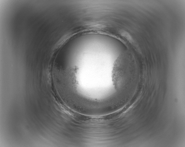 X0000068851354200605051202