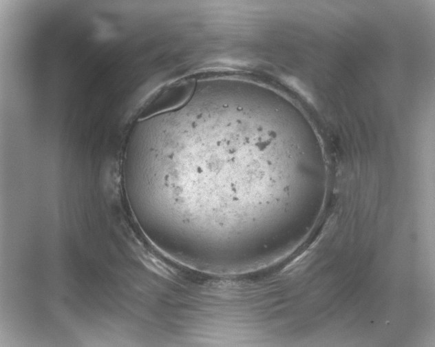 X0000068851355200605051202