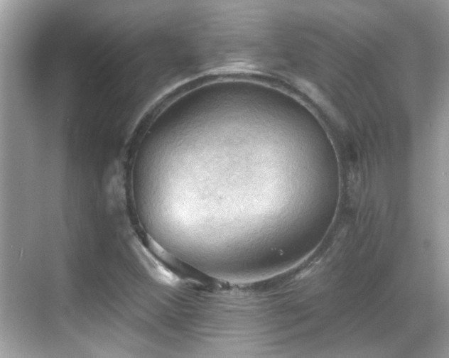 X0000068851356200605051202