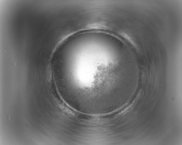 X0000068851358200605051202