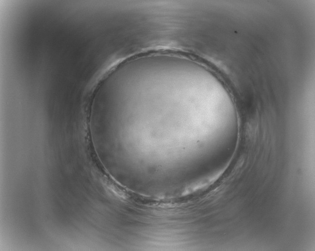 X0000068851359200605051202