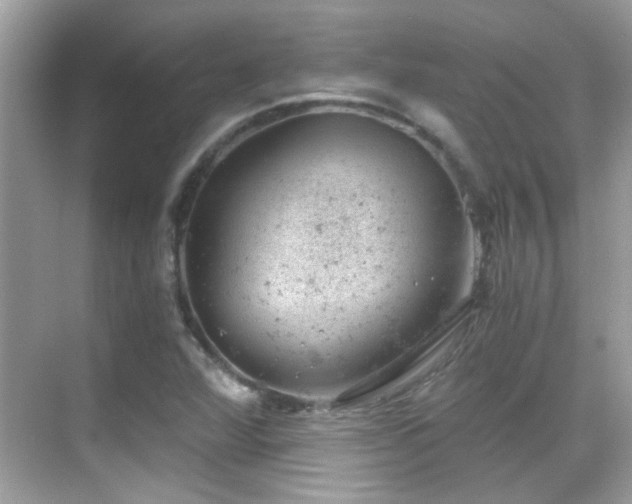 X0000068851360200605051202