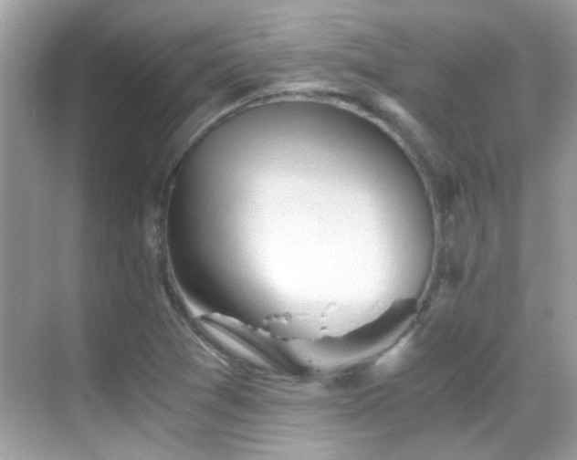 X0000068851361200605051202