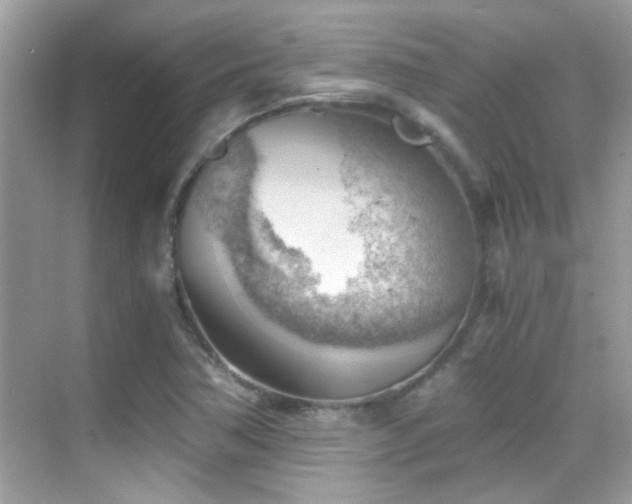 X0000068851362200605051202