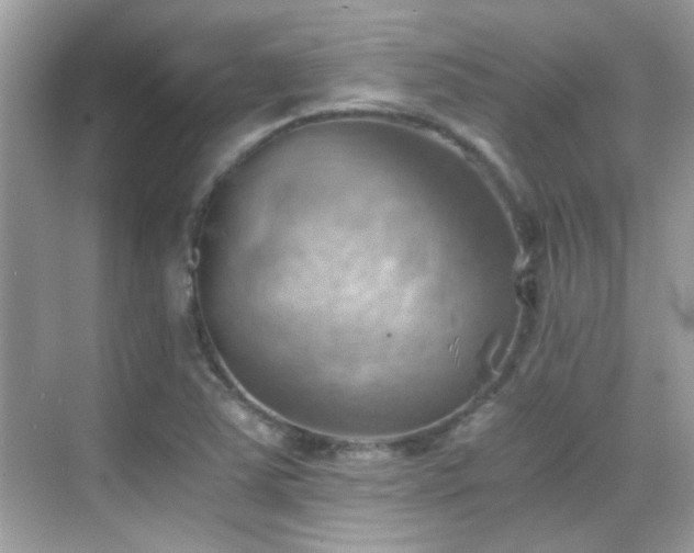 X0000068851363200605051202