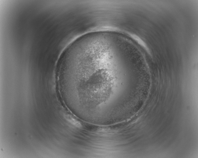 X0000068851364200605051202