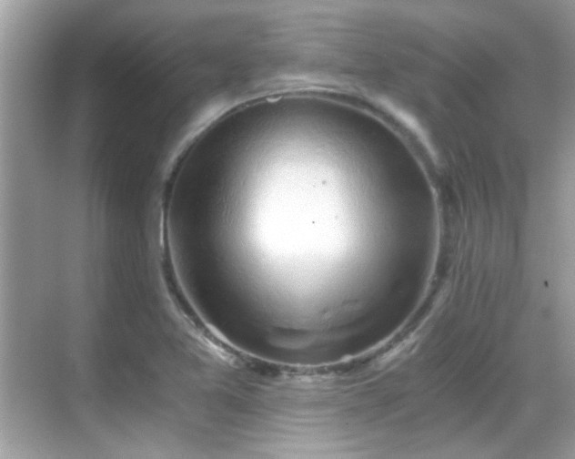 X0000068851365200605051202