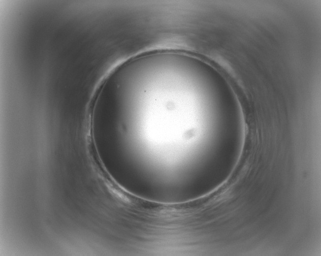 X0000068851366200605051201