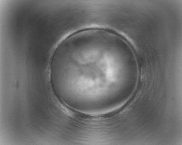 X0000068851367200605051201