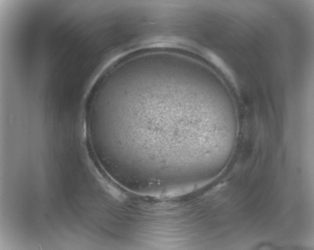 X0000068851368200605051201