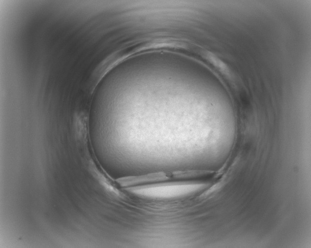 X0000068851369200605051201