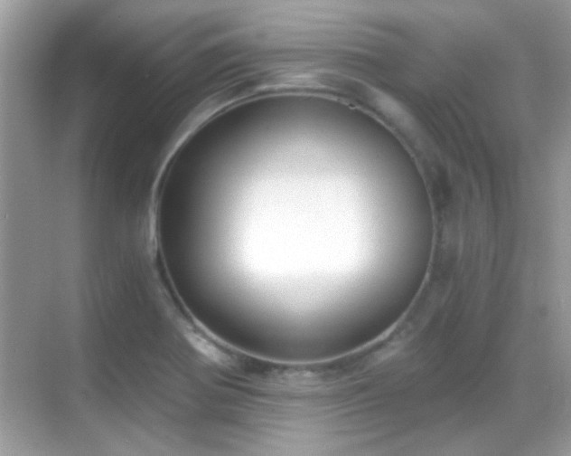 X0000068851370200605051201