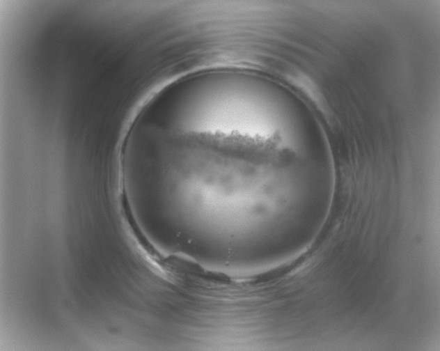 X0000068851371200605051201