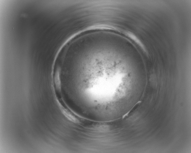 X0000068851372200605051201