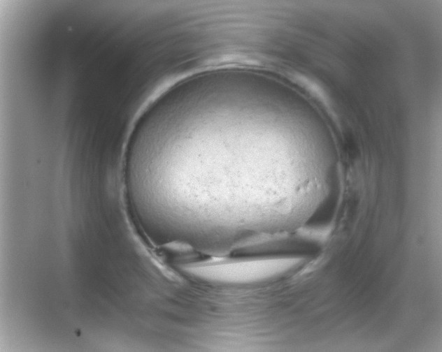 X0000068851373200605051201