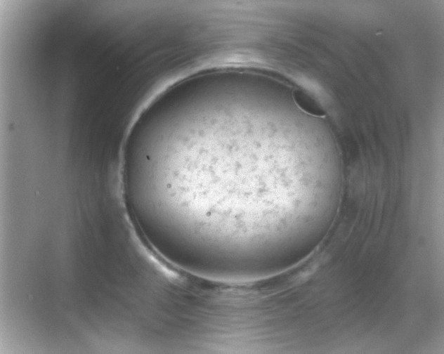 X0000068851374200605051201